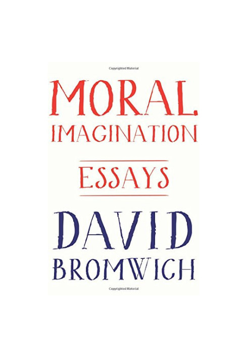 Moral Imagination : essays