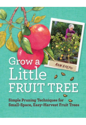 Grow a little fruit tree: simple pruning techniques for small-space, easy-harvest fruit trees