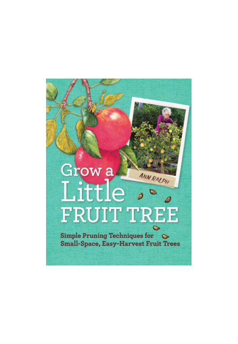 Grow a little fruit tree: simple pruning techniques for small-space, easy-harvest fruit trees