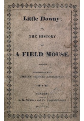 Little Downy: The History of a Field-Mouse