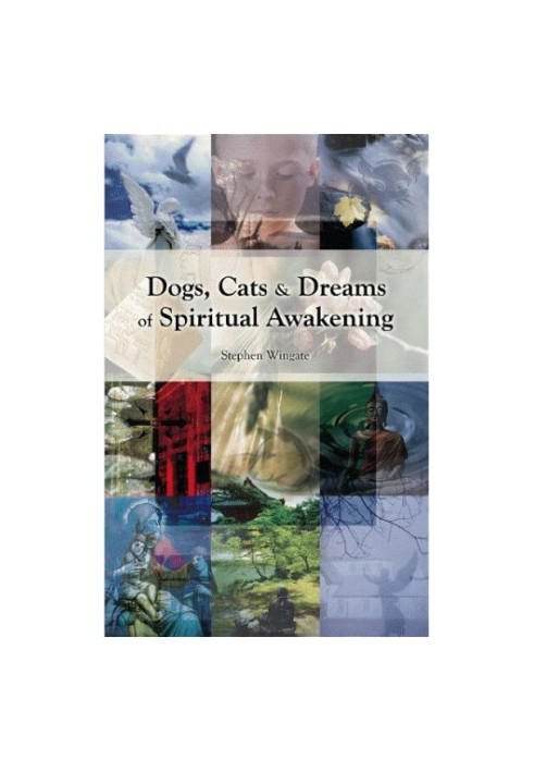 Dogs, Cats and Dreams of Spiritual Awakening