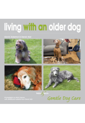 Living With An Older Dog: Gentle Dog Care