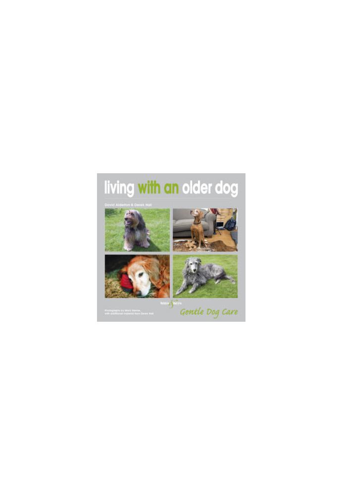Living With An Older Dog: Gentle Dog Care