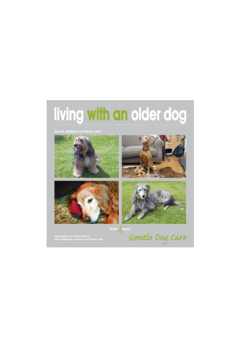 Living With An Older Dog: Gentle Dog Care