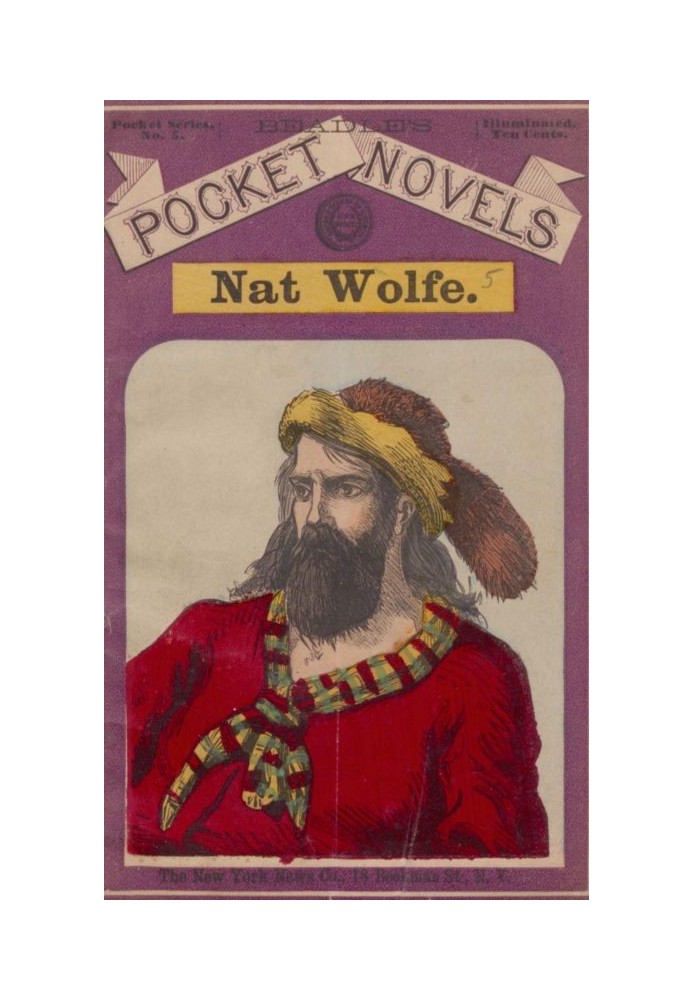 Nat Wolfe; or, The gold hunters: A romance of Pike's Peak and New York