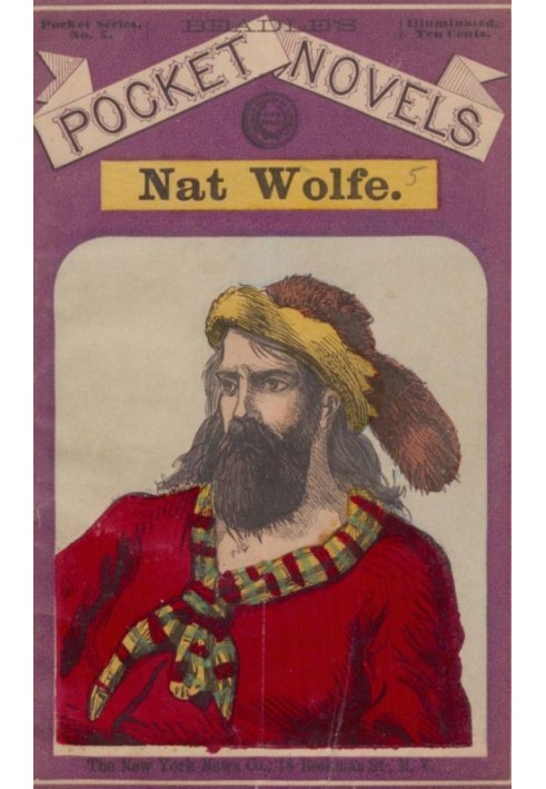 Nat Wolfe; or, The gold hunters: A romance of Pike's Peak and New York