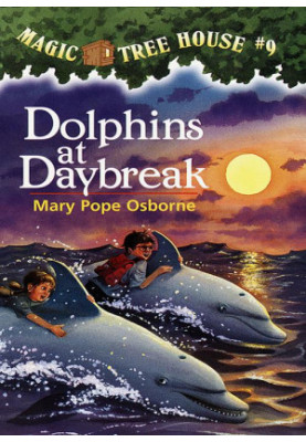 Dolphins at Daybreak