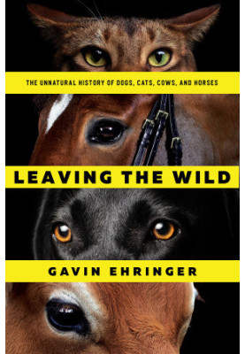 Leaving the Wild