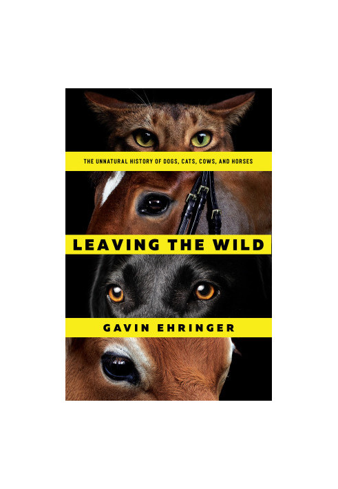 Leaving the Wild