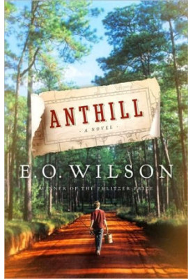 Anthill