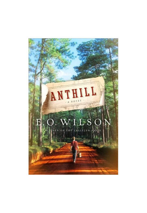 Anthill