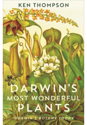 Darwin's most wonderful plants: Darwin's botany today