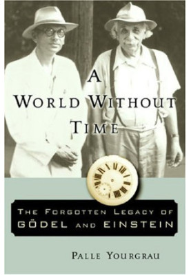 A world without time : the forgotten legacy of Gödel and Einstein