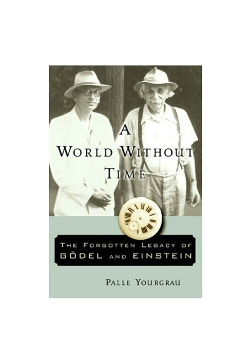 A world without time : the forgotten legacy of Gödel and Einstein
