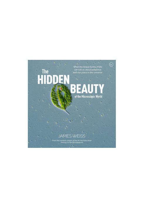 The Hidden Beauty of the Microscopic World: What the tiniest forms of life can tells us about existence and our place in the 