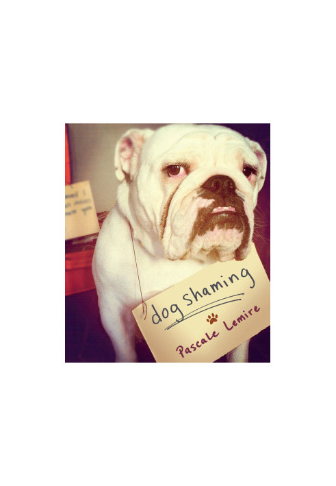 Dog Shaming