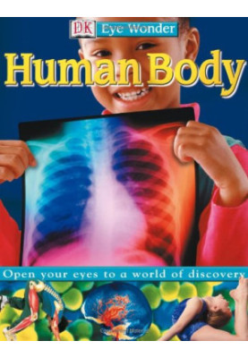 Human Body