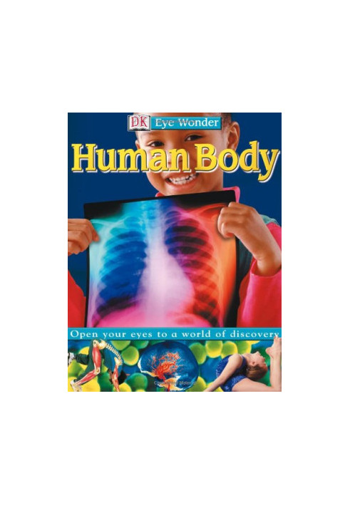 Human Body
