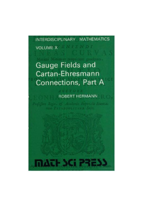 Gauge fields and Cartan-Ehresmann connections