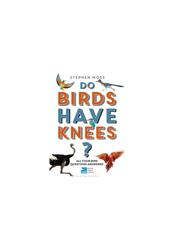 Do Birds Have Knees?