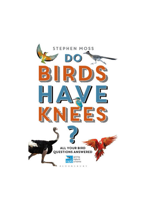Do Birds Have Knees?