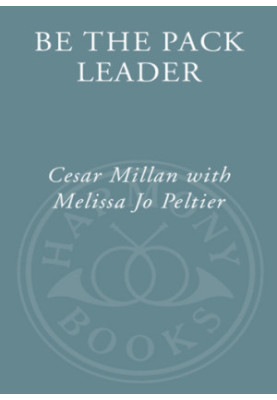 Cesar's Way Journal