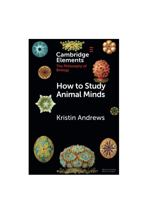 How to Study Animal Minds