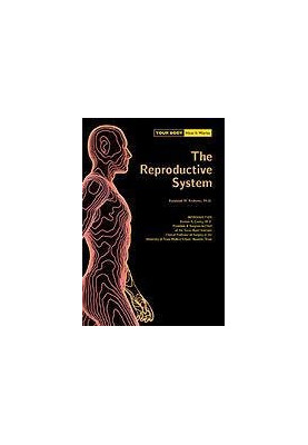 The Reproductive System.