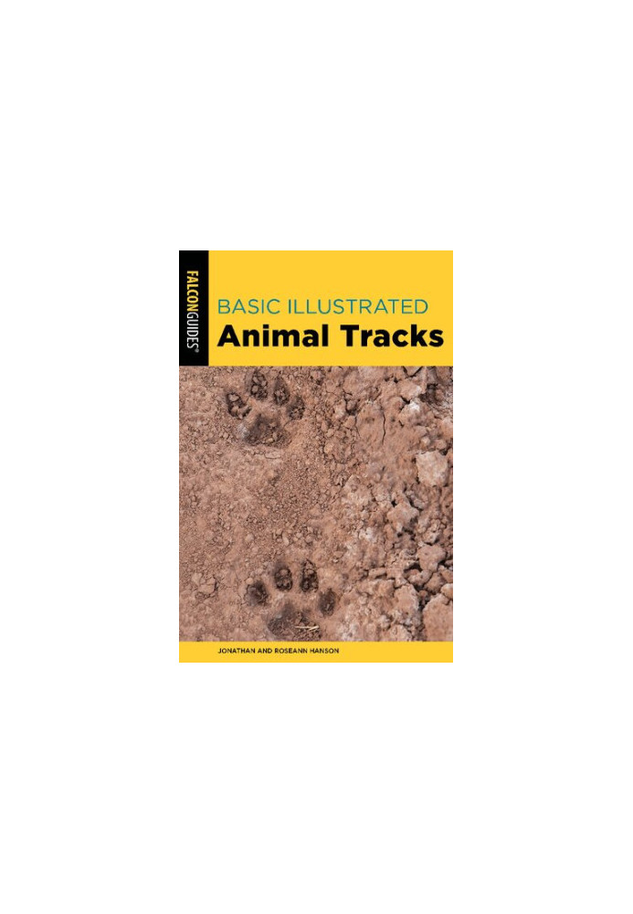 Basic Illustrated Animal Tracks