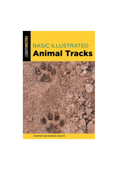 Basic Illustrated Animal Tracks