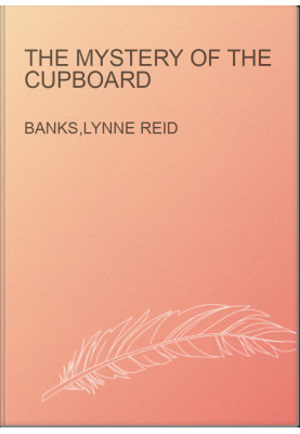 The Mystery of the Cupboard