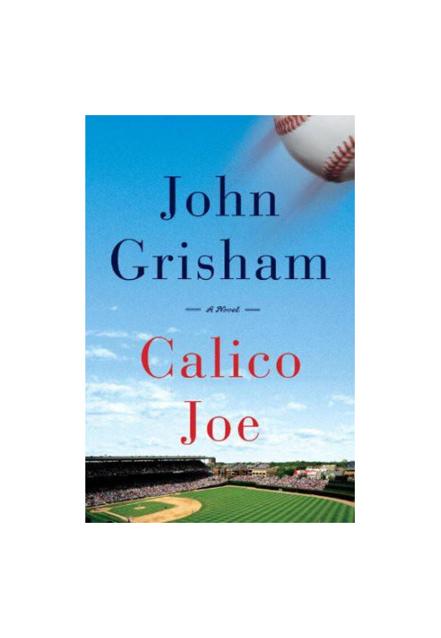 Calico Joe