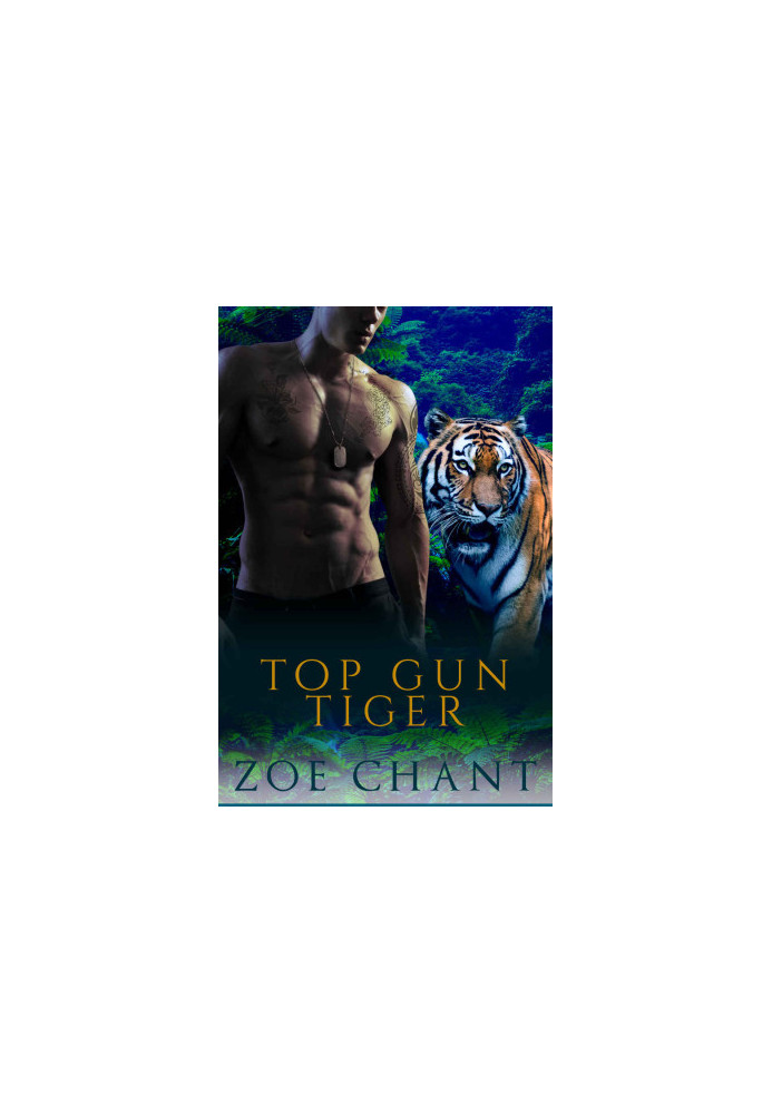 [Protection, Inc. 07] • Top Gun Tiger