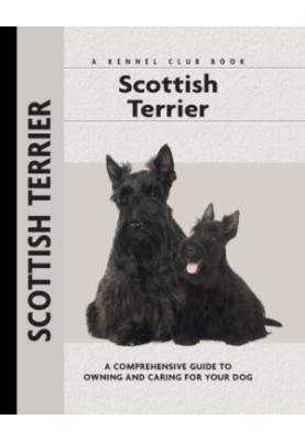 Scottish Terrier