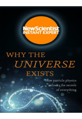 Why the Universe Exists