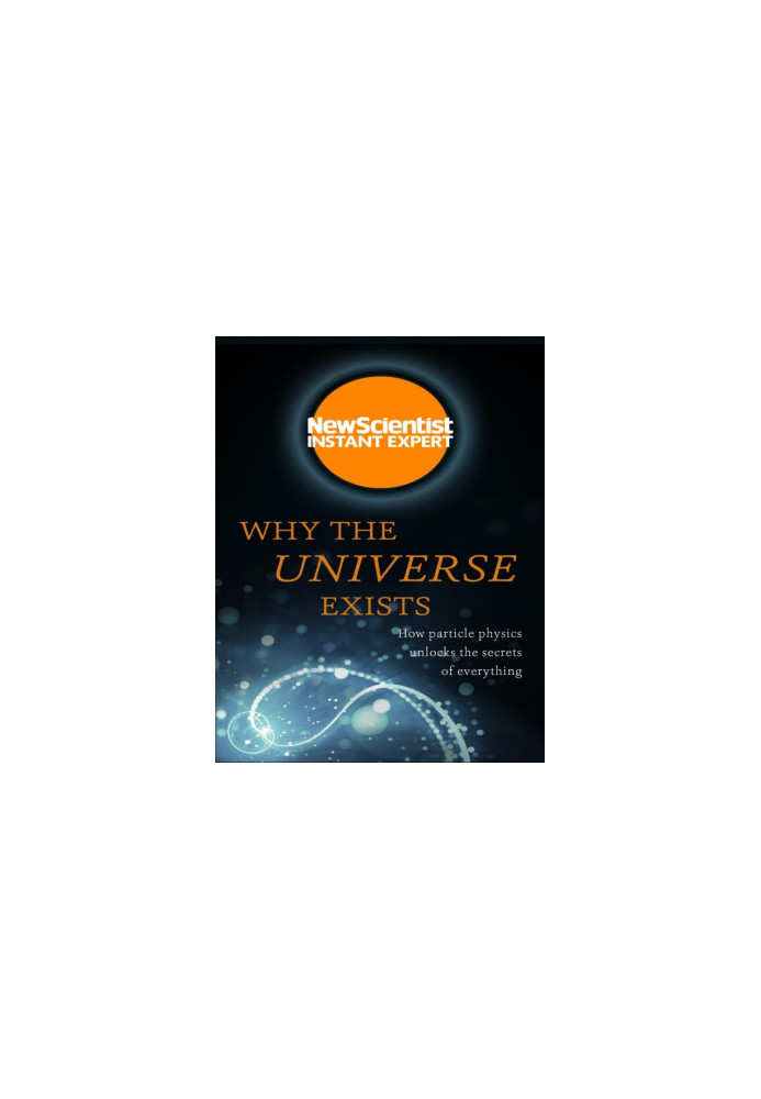 Why the Universe Exists