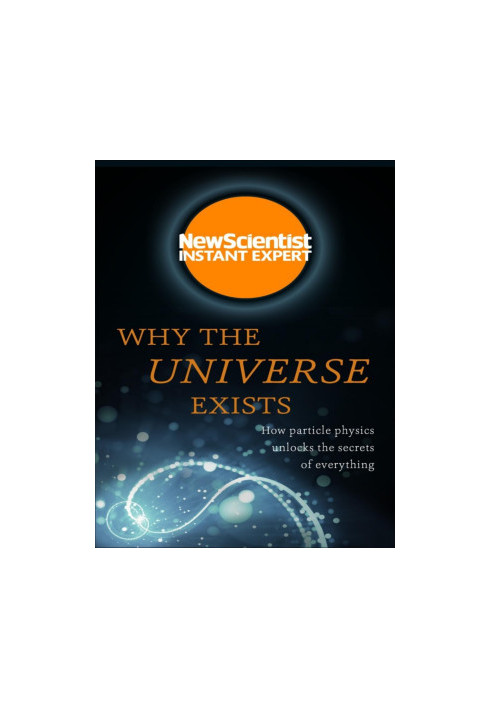 Why the Universe Exists