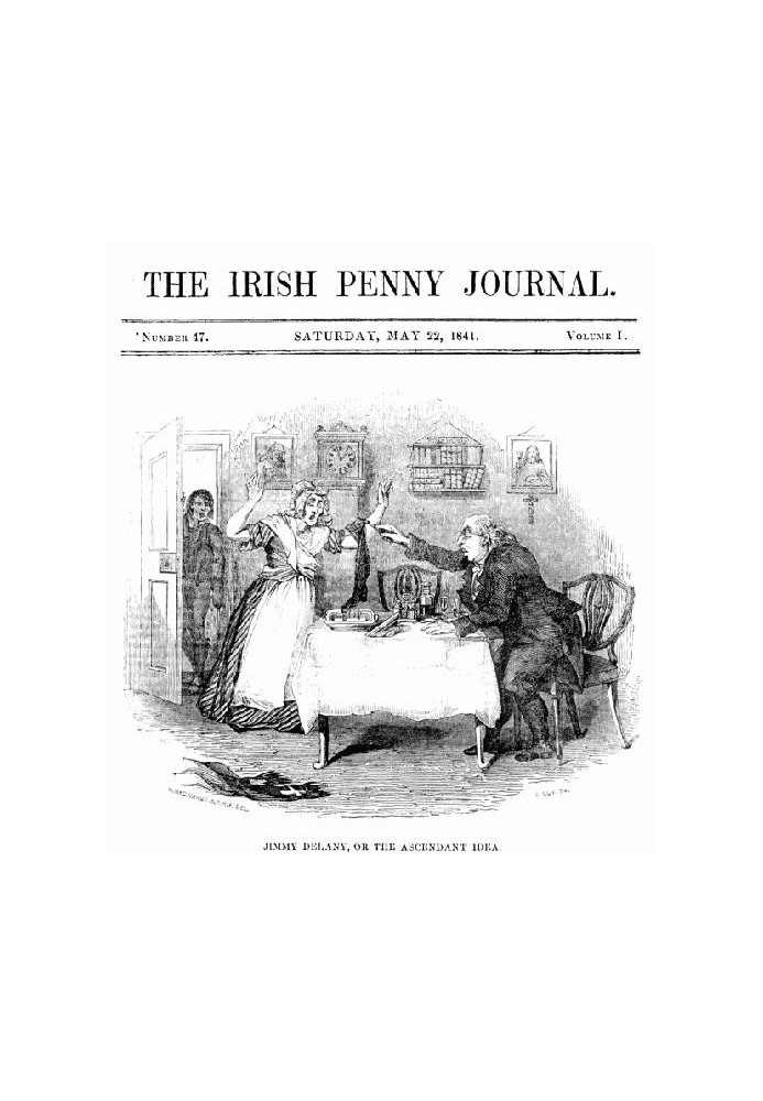 The Irish Penny Journal, Vol. 1 № 47, 22 травня 1841 р