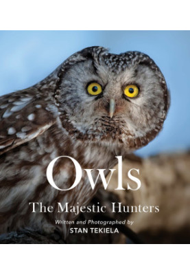 Owls: The Majestic Hunters
