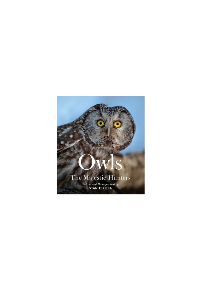 Owls: The Majestic Hunters