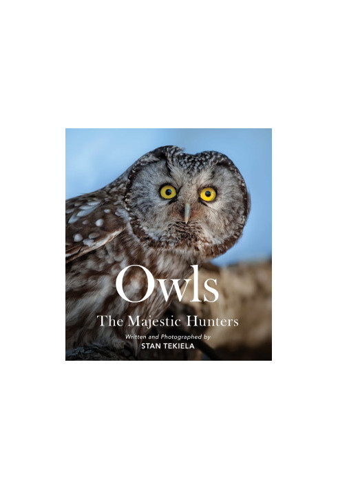 Owls: The Majestic Hunters