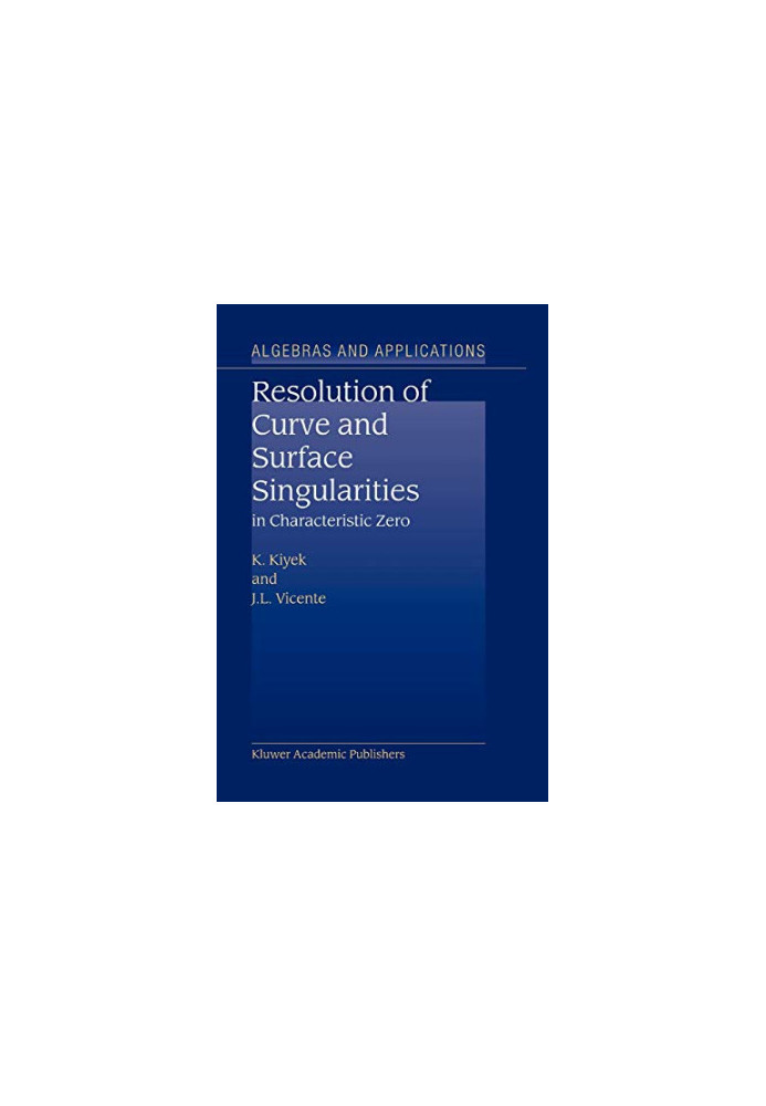 Resolution of Curve and Surface Singularities in Characteristic Zero (Algebra and Applications, 4)