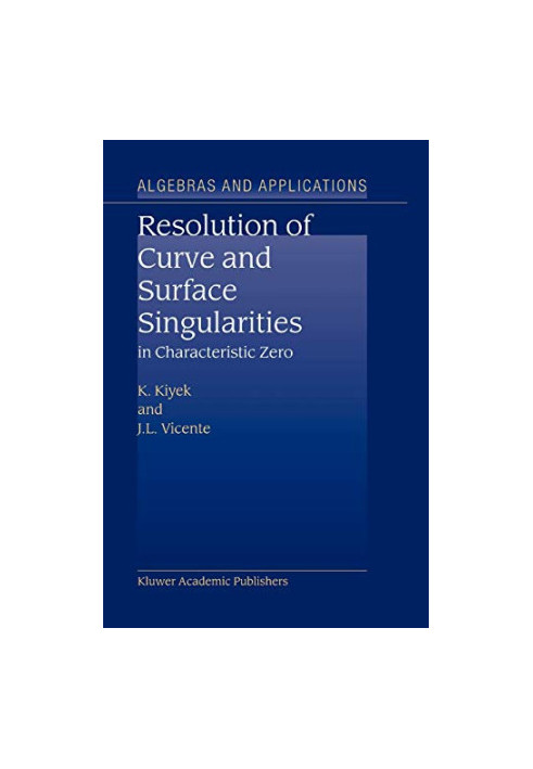 Resolution of Curve and Surface Singularities in Characteristic Zero (Algebra and Applications, 4)