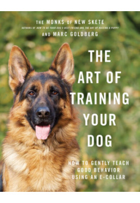 The Art of Training Your Dog