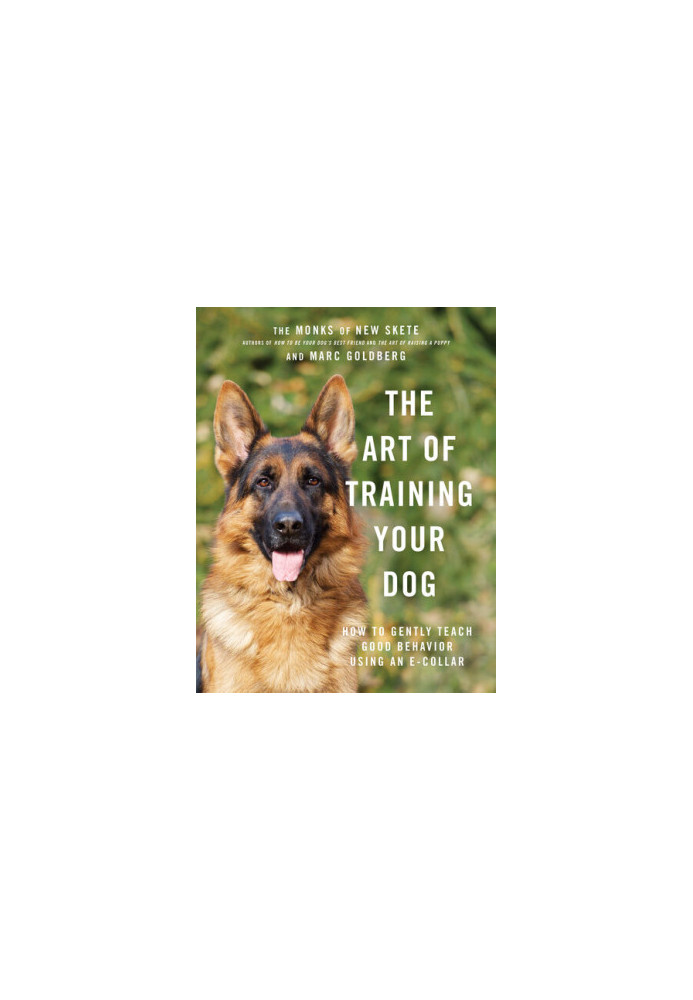 The Art of Training Your Dog