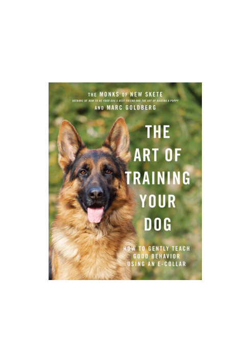 The Art of Training Your Dog
