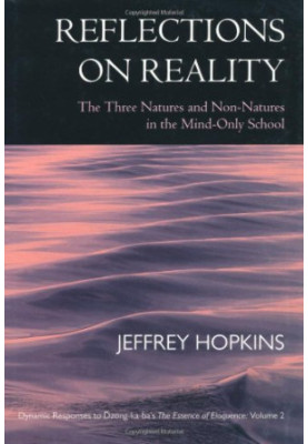 Refections on Reality: The Three Natures and Non-Natures in the Mind-Only School