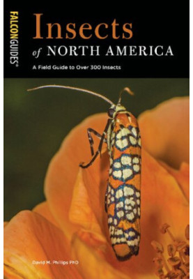 FalconGuides • Insects of North America • A Field Guide to Over 300 Insects