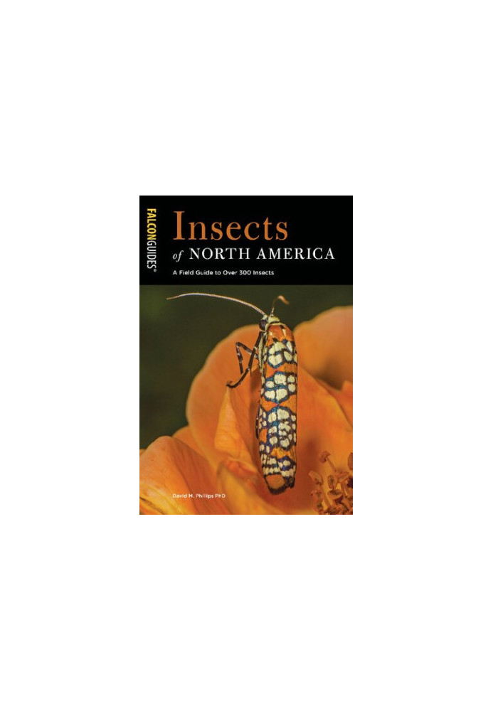 FalconGuides • Insects of North America • A Field Guide to Over 300 Insects