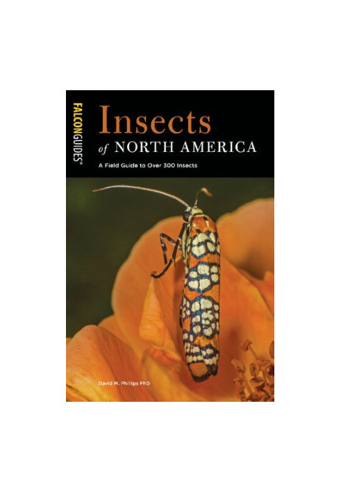 FalconGuides • Insects of North America • A Field Guide to Over 300 Insects